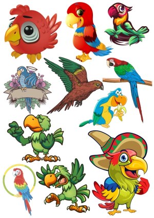 Colorful Cartoon Parrot and Bird Vector Collection Free Vector