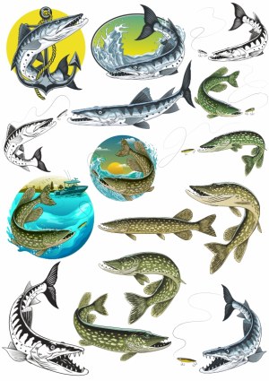 Set of Illustrated Predatory Fish with Fishing Scenes Free Vector