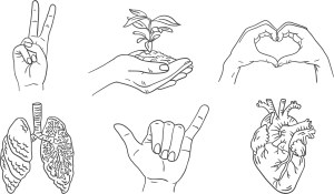 Hand Gestures and Anatomy Line Art Collection Free Vector