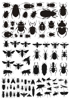 Collection of Black Insect Silhouettes Free Vector