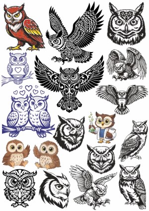 Collection of Various Owl Illustrations and Vector Art Free Vector