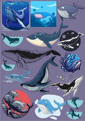Collection of Whales Vector Illustrations Free Vector