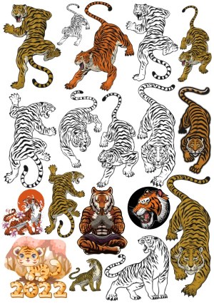 Collection of Illustrated Tiger Vectors in Various Poses and Styles Free Vector
