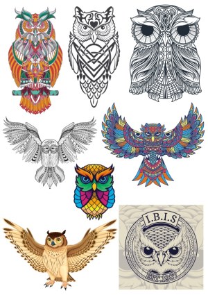 Collection of Stylized and Detailed Owl Vector Illustrations Free Vector