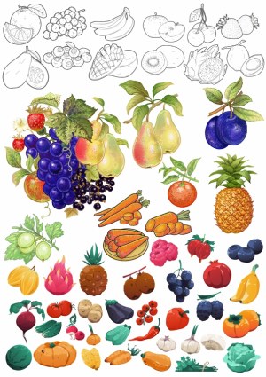 Collection of Hand-Drawn and Colored Fruits and Vegetables Vector Illustrations Free Vector