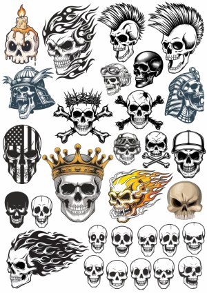Collection of Diverse Detailed Skull Illustrations Free Vector