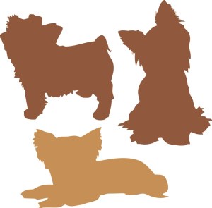 Set of Three Silhouettes of Yorkshire Terrier Dogs Free Vector