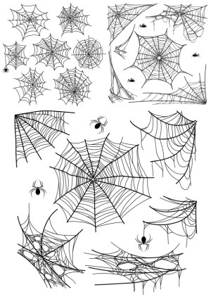 Collection of Various Spider Webs and Spiders Illustrations Free Vector