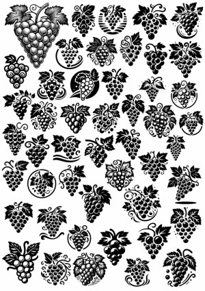 Black and White Grape Cluster Vector Icons Set Free Vector