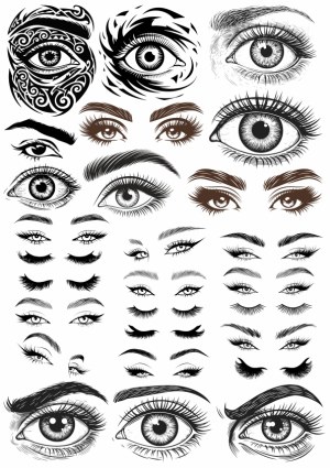 Hand-Drawn Black and White Eye and Eyebrow Vector Set Free Vector