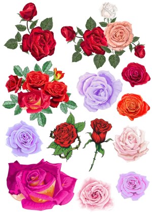 Colorful Vector Rose Flower Collection Free Vector