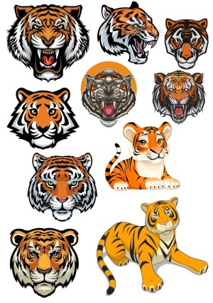 Set of Tiger Head and Full-Body Vector Illustrations Free Vector