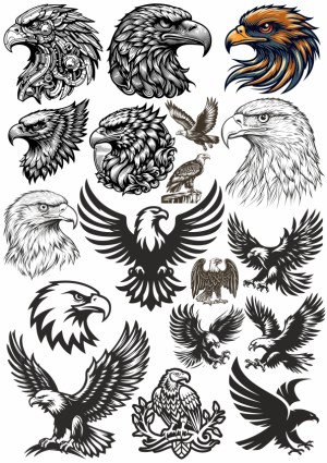 Collection of Detailed Eagle Head and Flying Eagle Vector Illustrations Free Vector