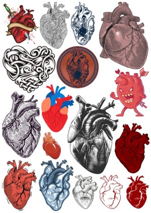 Collection of Artistic and Anatomical Heart Vector Illustrations Free Vector