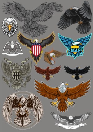Collection of Detailed Eagle Illustrations and Emblems Free Vector