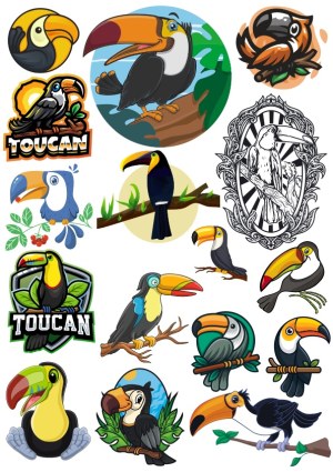 Collection of Colorful Toucan Bird Vector Illustrations Free Vector
