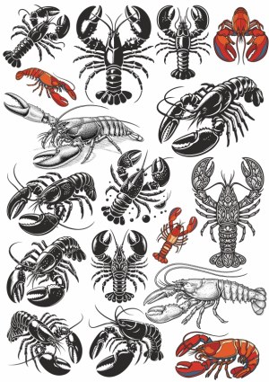 Collection of Lobster and Crayfish Vector Illustrations Free Vector