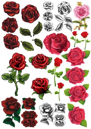 Collection of Red Rose Flower Vector Illustrations with Leaves and Stems Free Vector