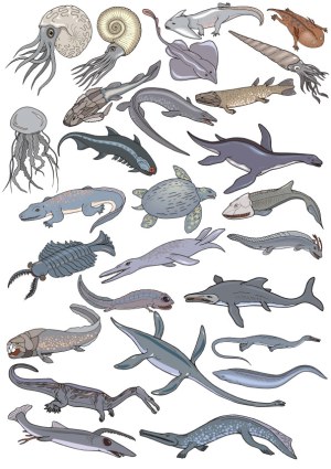 Vector Illustrations of Prehistoric Marine Creatures and Sea Reptiles Free Vector