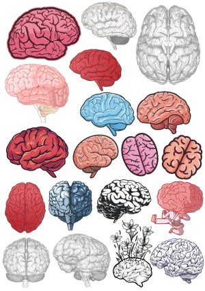 Vector Illustrations of Human Brain in Various Styles and Colors Free Vector