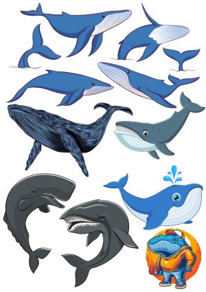 Whale Illustrations Collection Free Vector
