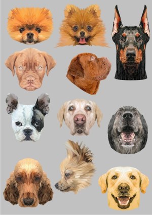 Low Poly Vector Illustrations of Various Dog Breeds Free Vector