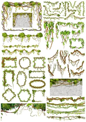 Set of Decorative Green Vine Borders, Frames, and Hanging Vines Free Vector