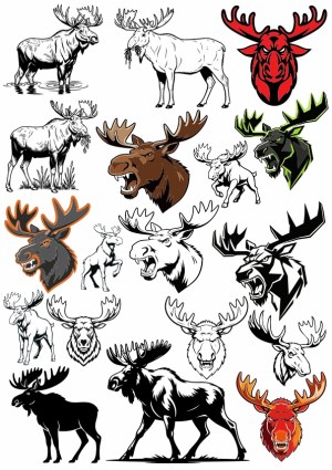 Collection of Moose Vector Illustrations and Logos Free Vector