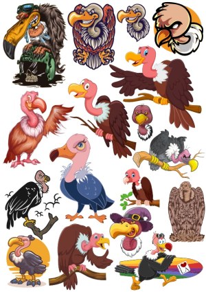 Collection of Colorful Cartoon Vulture Illustrations Free Vector
