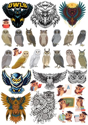 Collection of Owl Illustrations and Mascots in Various Styles Free Vector