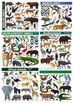 Vector Sets of Animals from Different Regions including Woodland, Indonesian, Amazon Rainforest, and African Animals Free Vector
