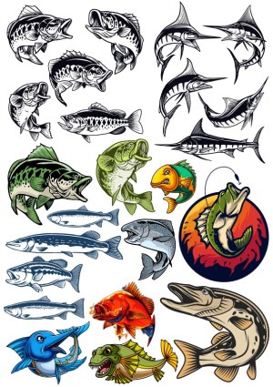 Fishing and Game Fish Vector Illustrations Collection Free Vector