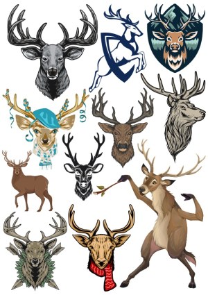 Collection of Cartoon and Realistic Deer and Stag Illustrations Free Vector
