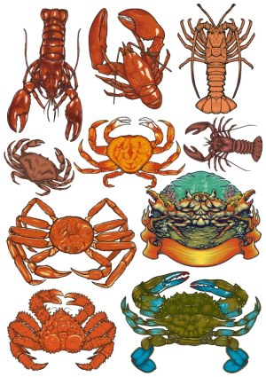 Colorful Detailed Vector Illustrations of Crabs and Lobsters Free Vector