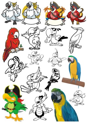 Colorful and Black-And-White Parrot and Macaw Cartoon Vector Illustrations Free Vector