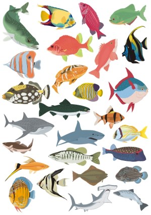 Collection of Various Colorful Fish and Sharks Vector Illustrations Free Vector