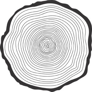 Tree Rings Cross Section Vector Free Vector