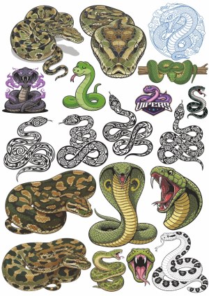 Collection of Snake Illustrations and Tribal Snake Designs Free Vector