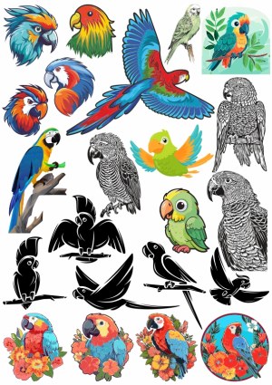 Colorful Parrot and Macaw Vector Illustrations Collection Free Vector