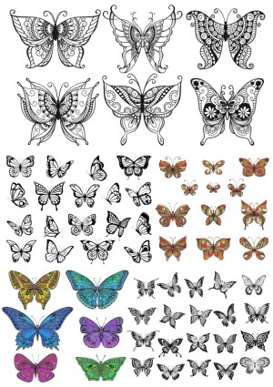 Collection of Intricate and Colorful Butterfly Vector Designs Free Vector
