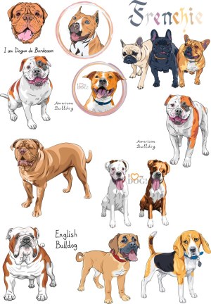 Vector Illustrations of Various Dog Breeds Including Bulldogs, French Bulldogs, and Beagle Free Vector