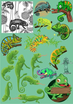 Various Chameleon Illustrations and Line Art Vector Set Free Vector