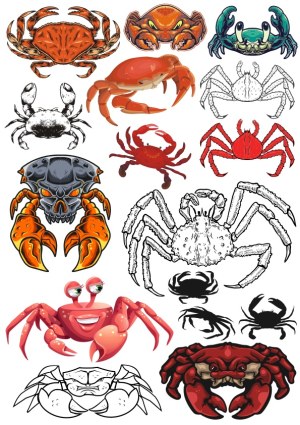 Collection of Various Crab Vector Illustrations Free Vector