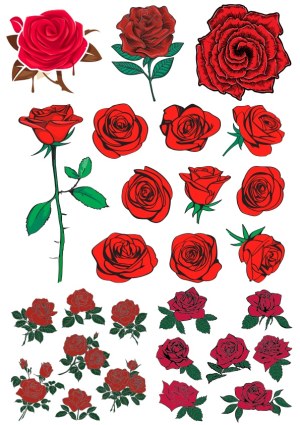 Collection of Red Rose Vector Illustrations with Various Styles and Arrangements Free Vector