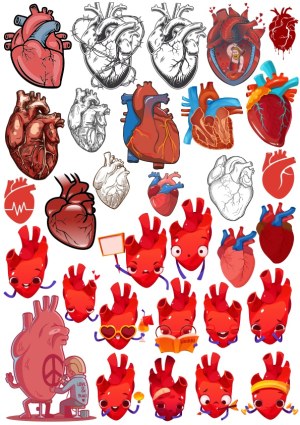 Various Anatomical and Cartoon Heart Vector Illustrations Free Vector