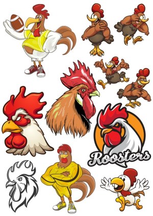 Collection of Cartoon and Realistic Rooster Illustrations and Mascots Free Vector