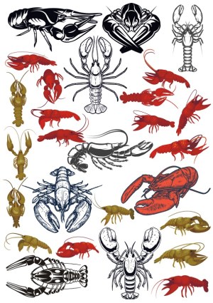Collection of Vector Lobster and Crawfish Illustrations Free Vector