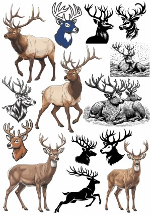 Collection of Deer and Elk Vector Illustrations Free Vector