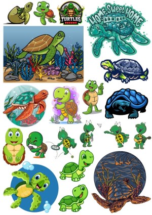 Collection of Colorful Turtle and Tortoise Cartoon and Realistic Vector Illustrations Free Vector