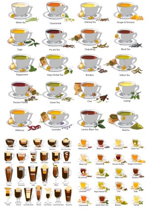 Collection of Popular Tea and Coffee Types with Ingredients Free Vector